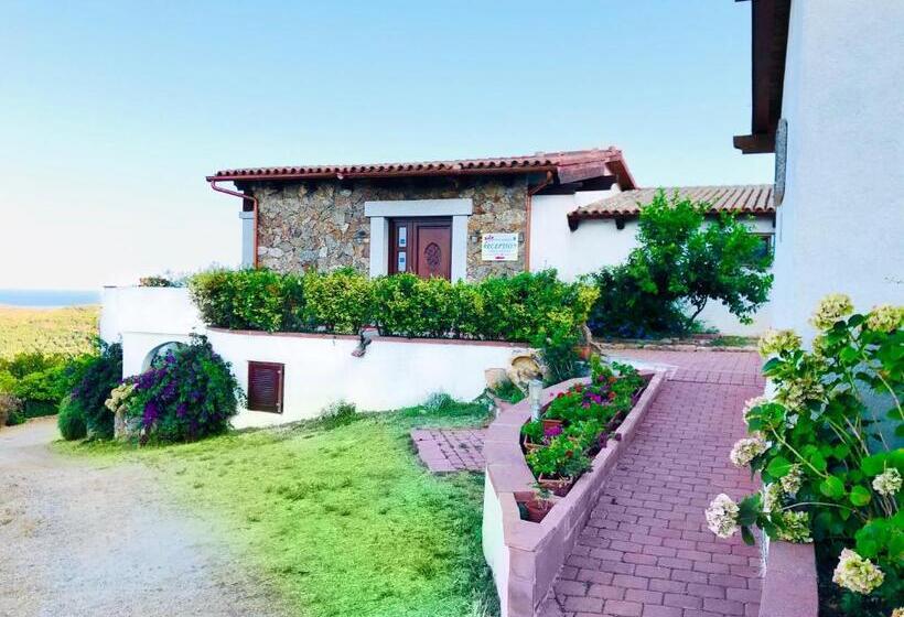 Пансион Trasicca B&b