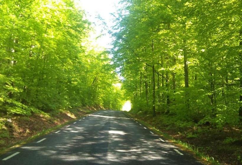 膳宿费 Vånga 77.1