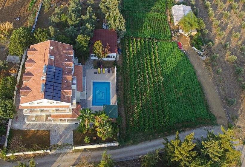 호텔 Infinity Ruby