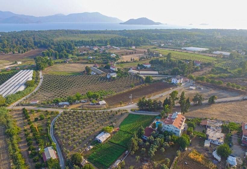 호텔 Infinity Ruby