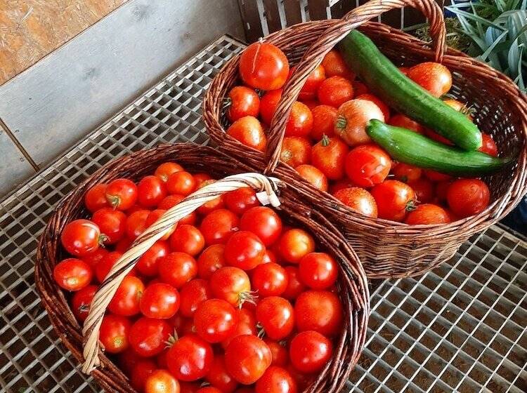 ベッドアンドブレックファースト Maison Cerviña