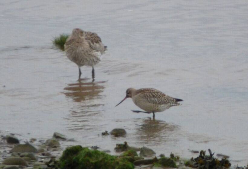 민박 The Waterside Rooms