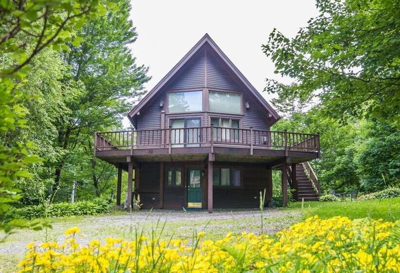 Cottage In The Woods