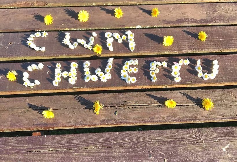 Cwm Chwefru Holiday Cottages