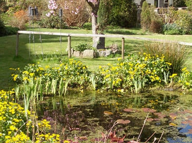 Cwm Irfon Lodge Cottages