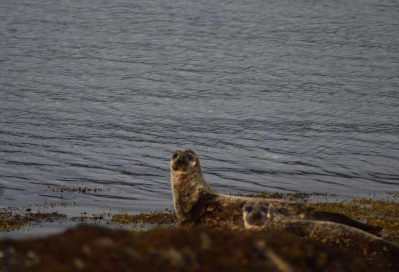 Glamping Pod For 2, Pod Beag Na Haun, Eriskay