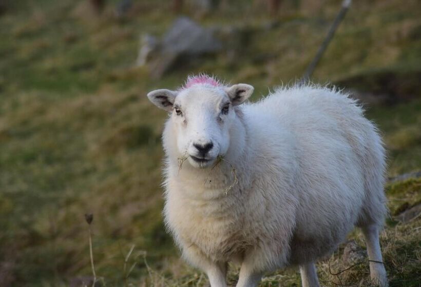 Glamping Pod For 2, Pod Beag Na Haun, Eriskay