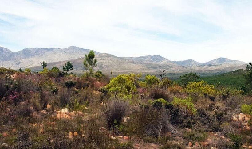 בית מלון כפרי Avani Lodge Private Nature Reserve