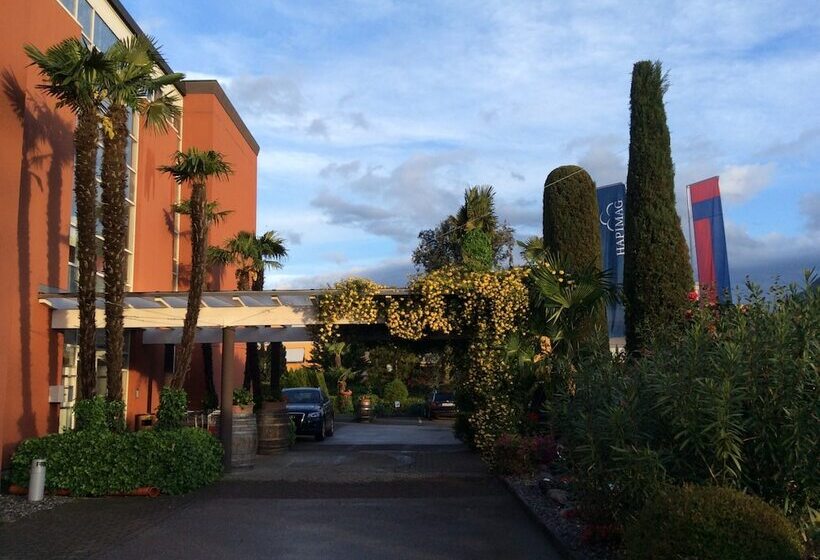 호텔 Hapimag Resort Ascona