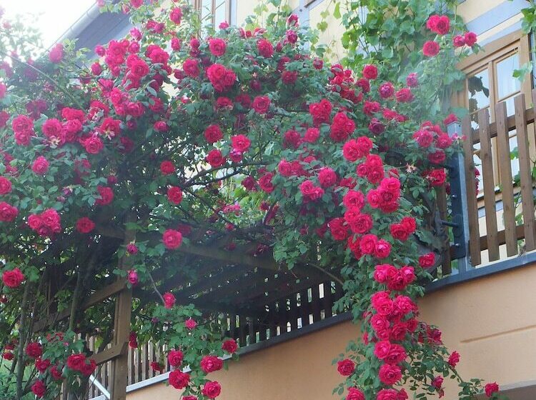 ホテル In Der Alten Weinstube