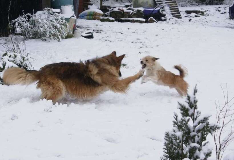 Inviting 2 Bed Cottage In Newcastle Emlyn