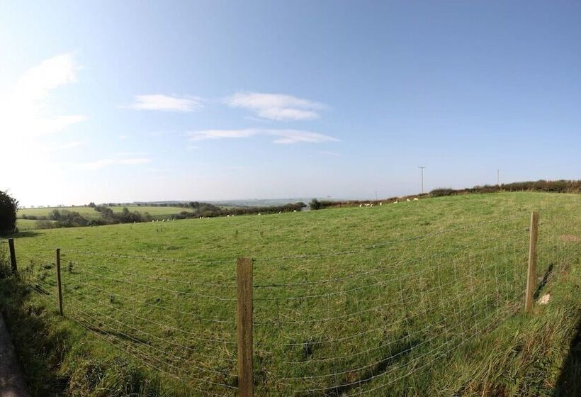 Inviting 2 Bed Cottage In Newcastle Emlyn