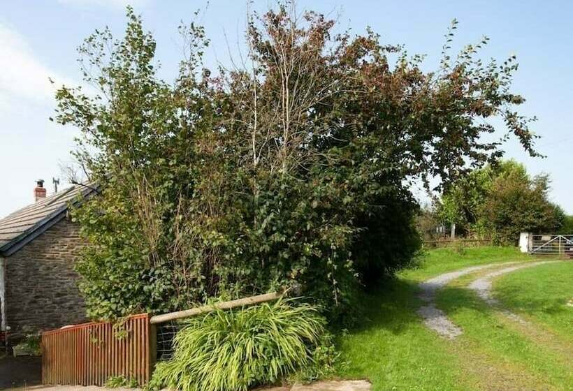 Inviting 2 Bed Cottage In Newcastle Emlyn