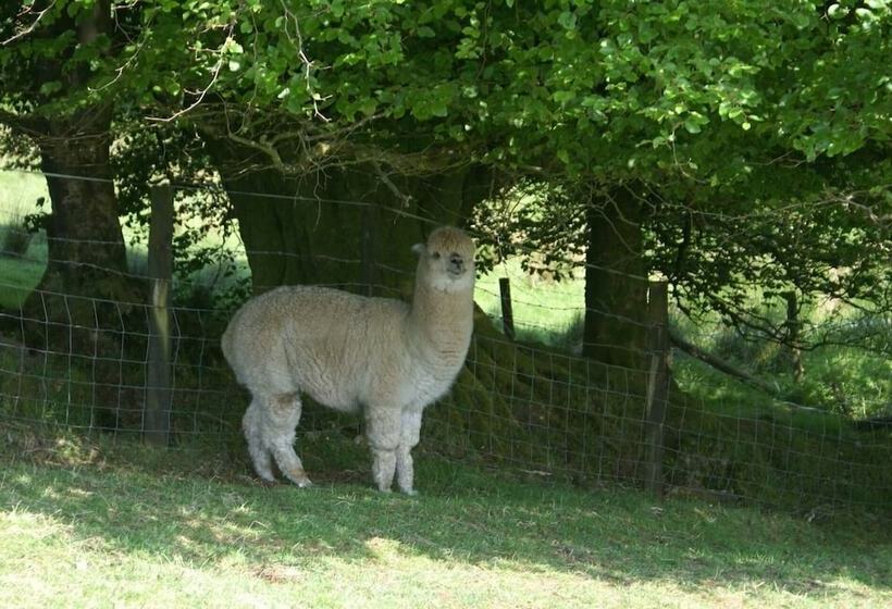 Inviting 2 Bed Cottage In Newcastle Emlyn