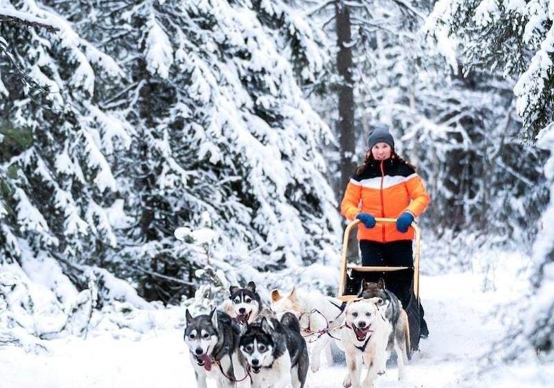 Vanhan Karhun Apartments