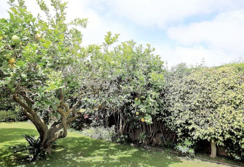 Пансион Bungalow Yeray