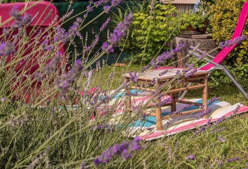 膳宿费 Chambre D Hôtes Agnes Et Olivier