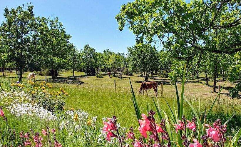 פנסיון Chambres & Table D Hôtes La Vayssade