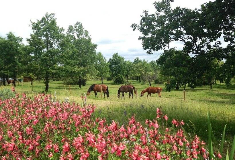 פנסיון Chambres & Table D Hôtes La Vayssade