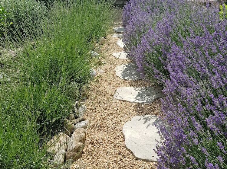 פנסיון Limoux Riverside Gardens