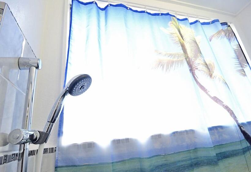 פנסיון South Island