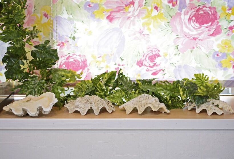 פנסיון South Island