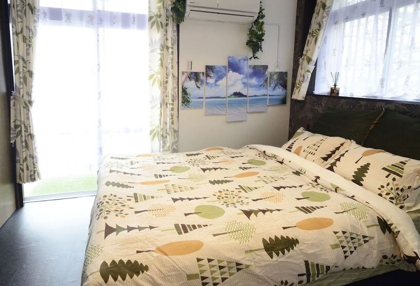 פנסיון South Island