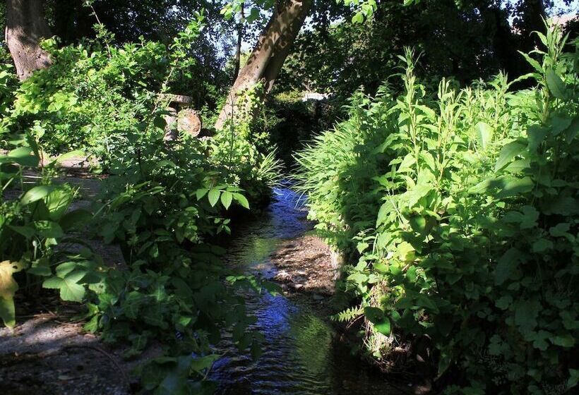 פנסיון The Devonian