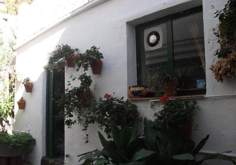 Alojamientos Casa Tejon