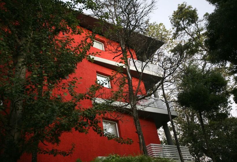 Avutarda De Carilo