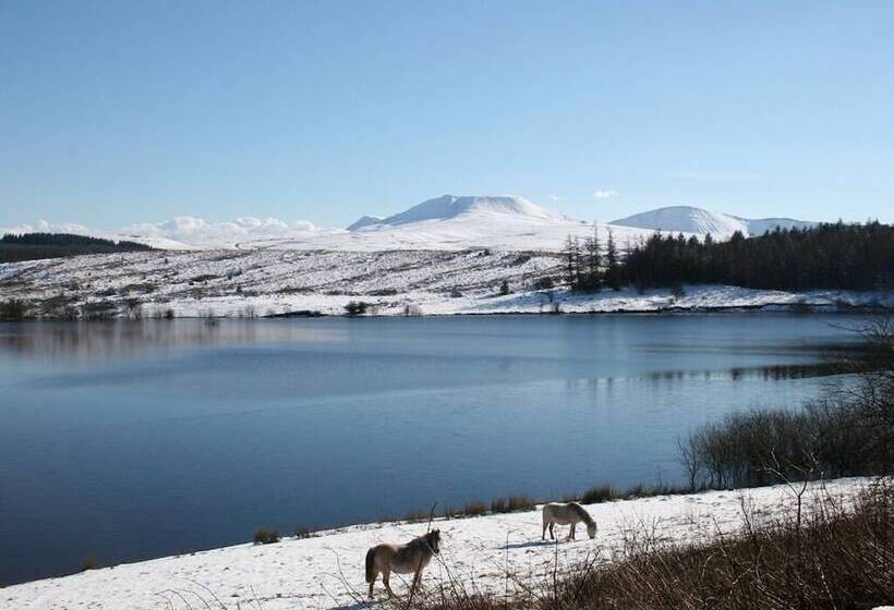 Bronfelin & Troedyrhiw Holiday Cottages