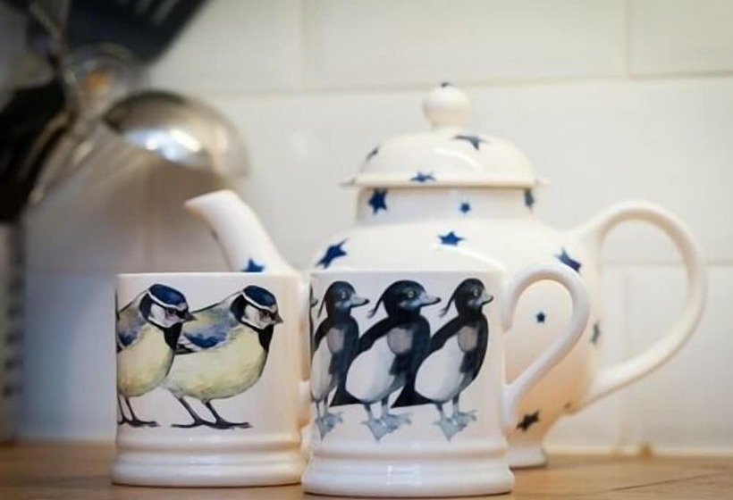 Bronfelin & Troedyrhiw Holiday Cottages