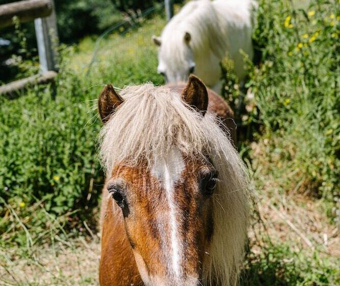 Chalet La Perle D Oisans