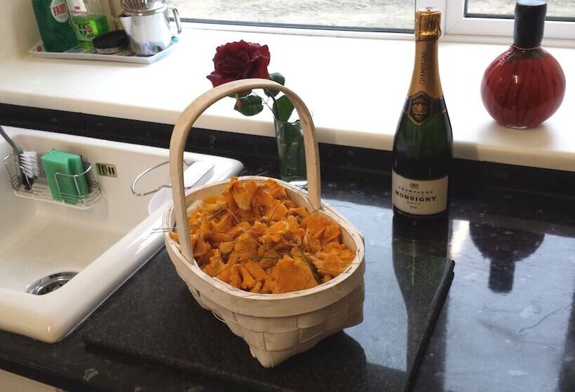 Darwin Cottage Self Catering In Elgin