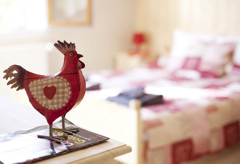 Gîtes Estives D'arrens