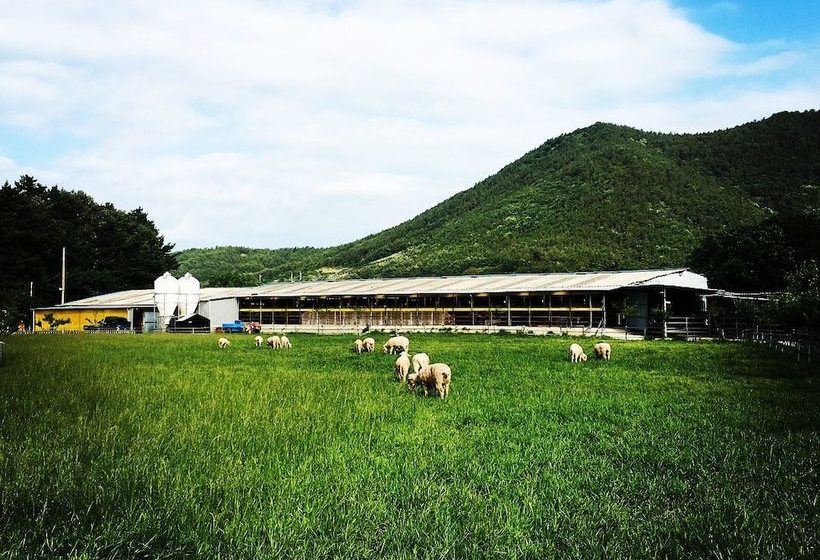 Hanudream Theme Pension