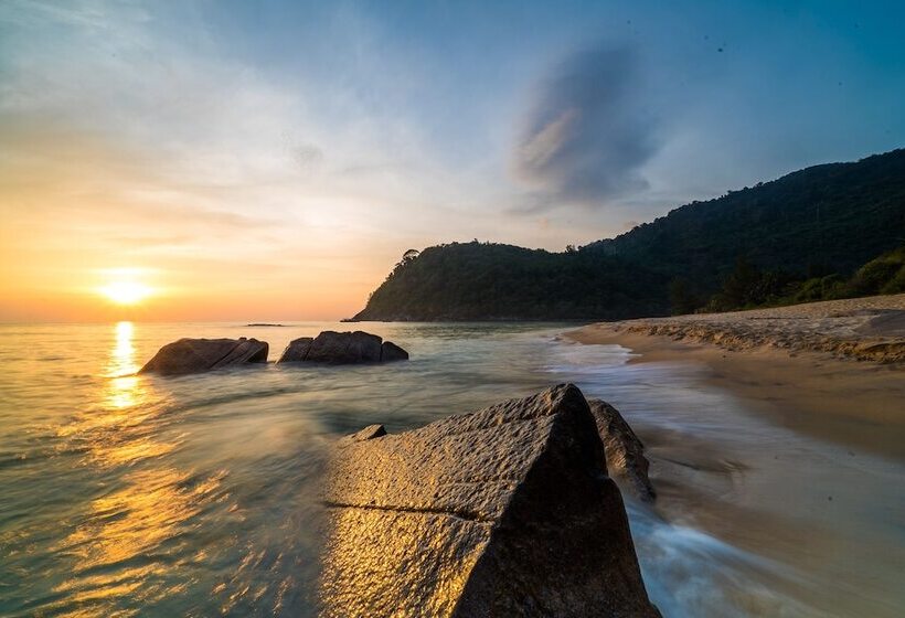 فندق 1511 Coconut Grove