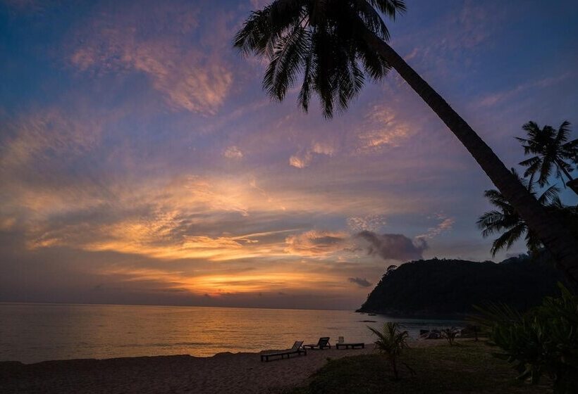 בית מלון כפרי 1511 Coconut Grove