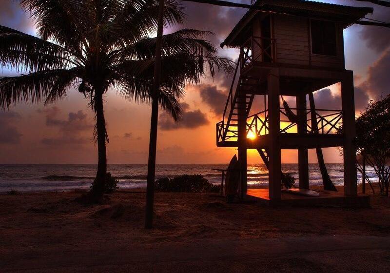 בית מלון כפרי 1511 Coconut Grove