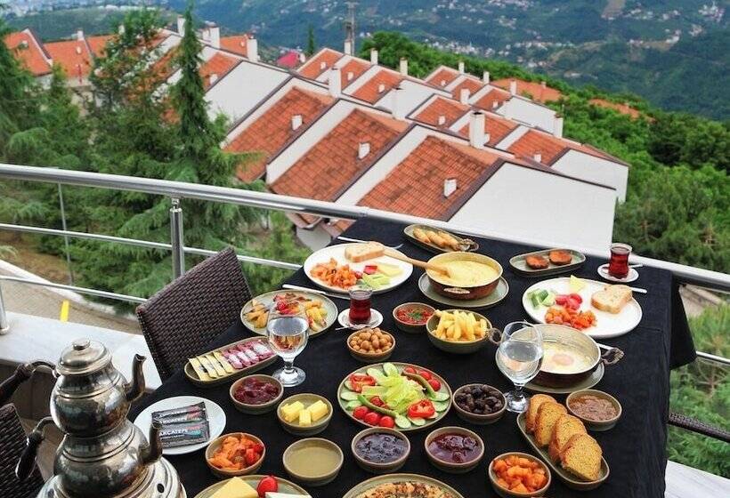 酒店 Akcatepe Dag Evleri