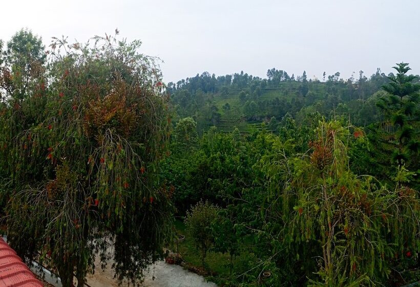 ホテル Pear Tree Inn