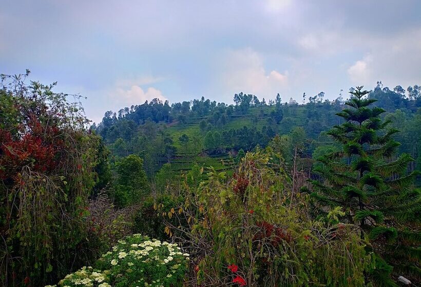 ホテル Pear Tree Inn