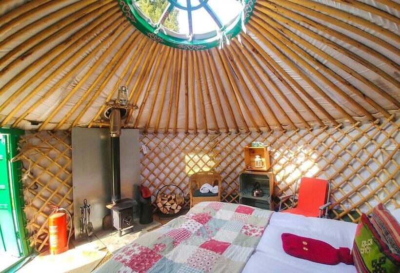 فندق ريفى Bamff Ecotourism