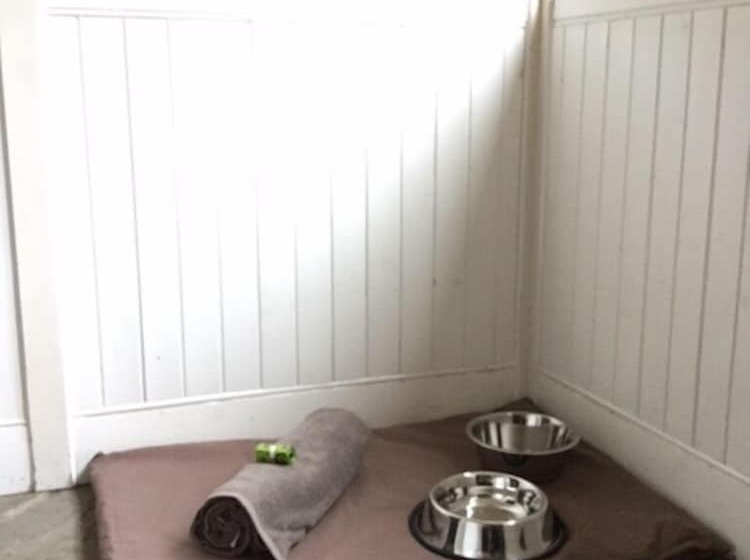 فندق ريفى Bamff Ecotourism