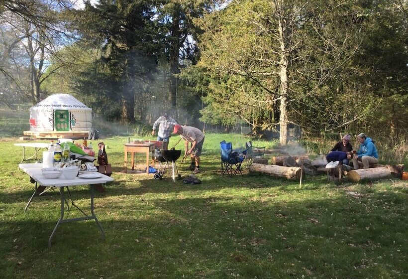 فندق ريفى Bamff Ecotourism