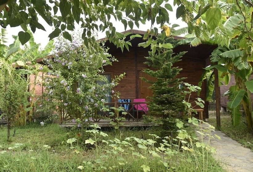 فندق Serenity Bungalows