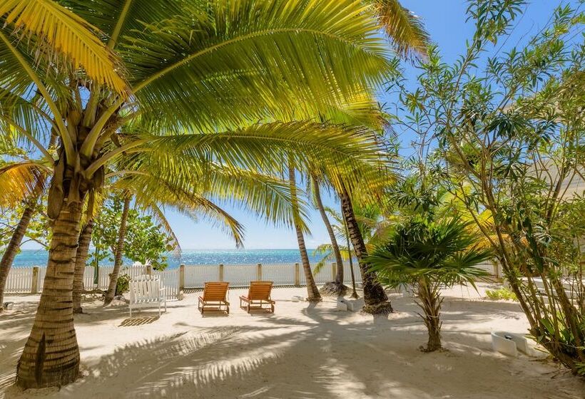 פנסיון Babylon Beach