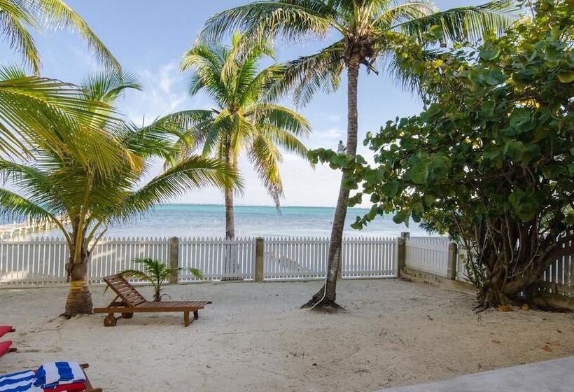 פנסיון Babylon Beach