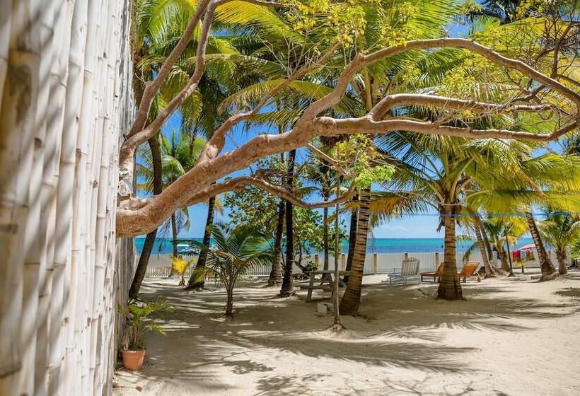 פנסיון Babylon Beach