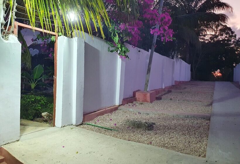 Пансион Baridi Villa